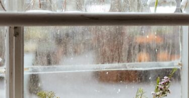 A window sill filled with vases and plants