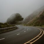 A curved road with a tree on the side of it