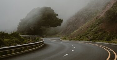 A curved road with a tree on the side of it