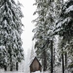 A small cabin in the middle of a snowy forest