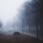 Atmospheric foggy park scene with empty benches and bare winter trees.