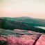 A man standing on top of a mountain next to a lake